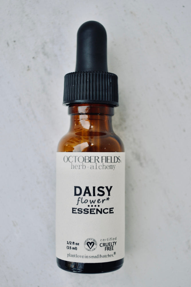 Daisy flower essence