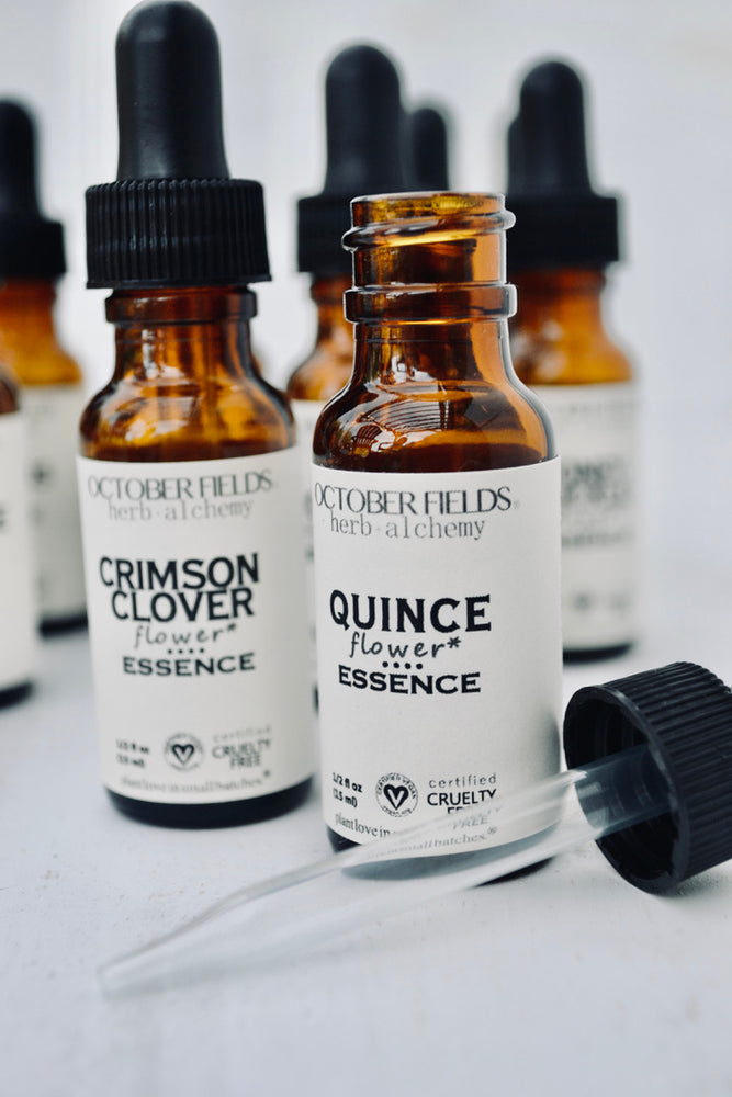 
                      
                        Crimson Clover flower essence
                      
                    