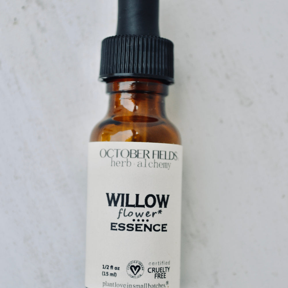 
                      
                        Willow flower essence
                      
                    