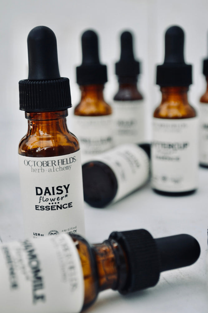 
                      
                        Daisy flower essence
                      
                    