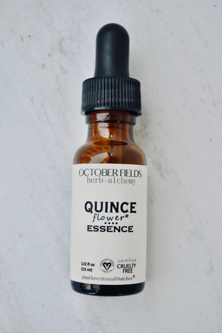 Quince flower essence