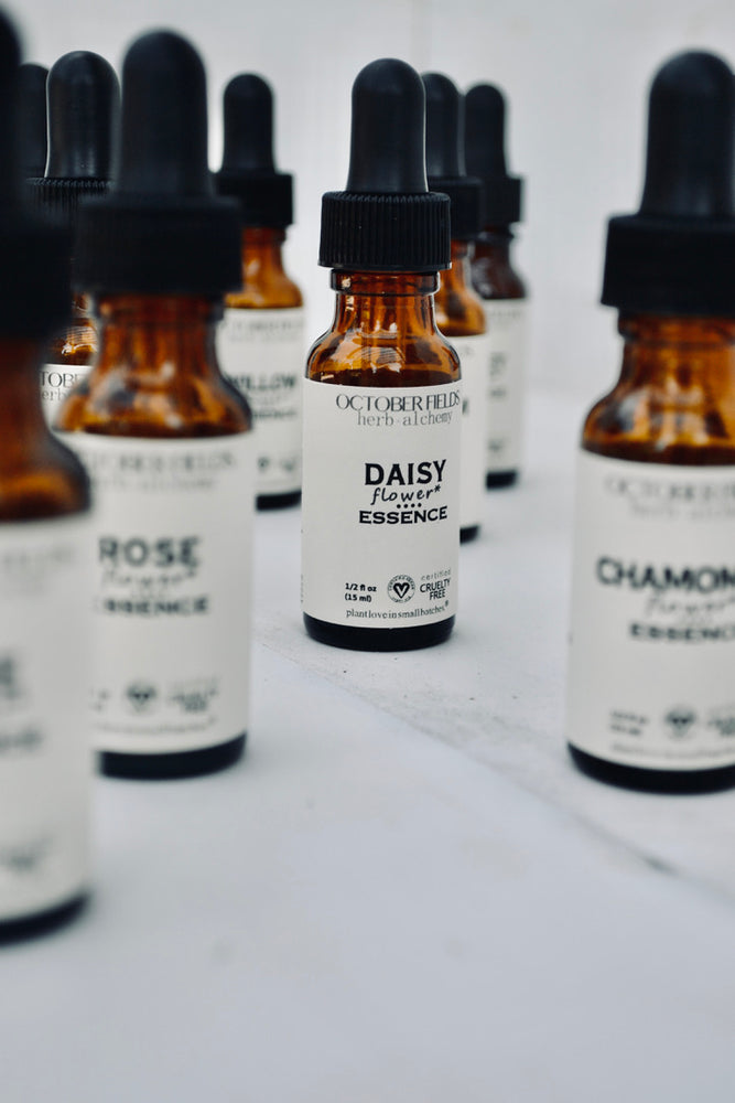 
                      
                        Daisy flower essence
                      
                    