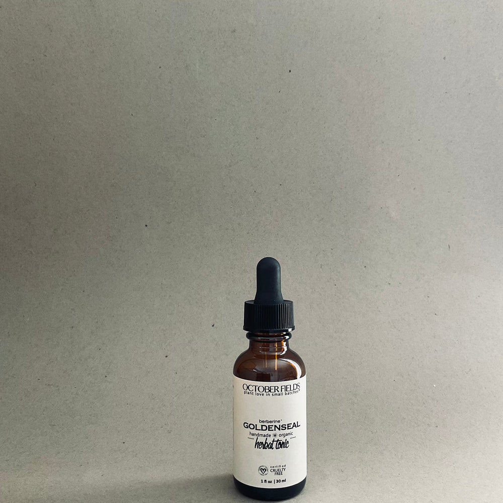 Goldenseal herbal tincture - Seasonal + Limited