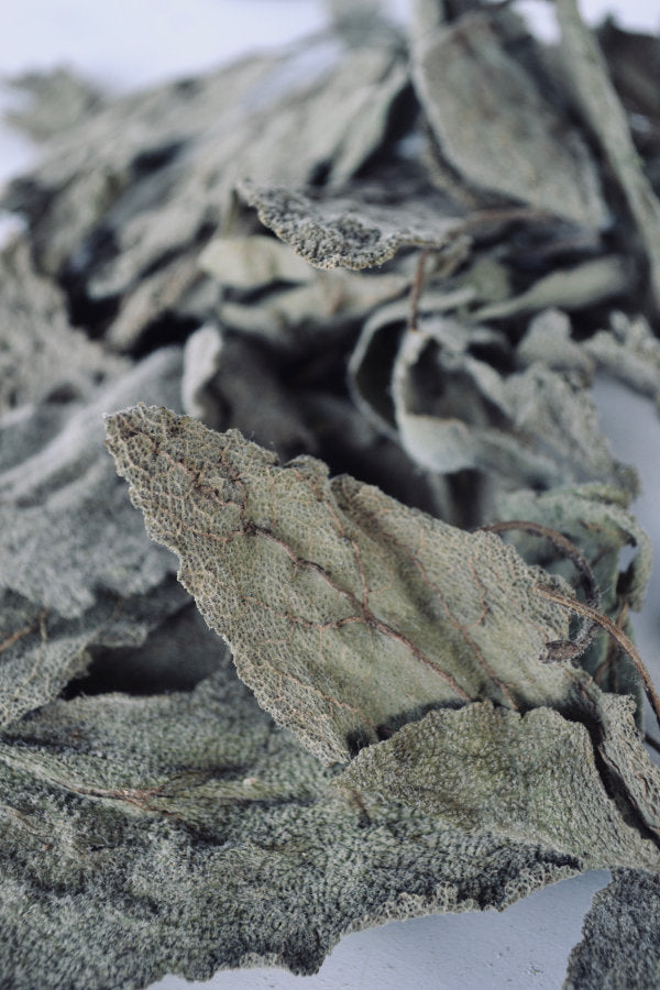 Dried Clary Sage for sale